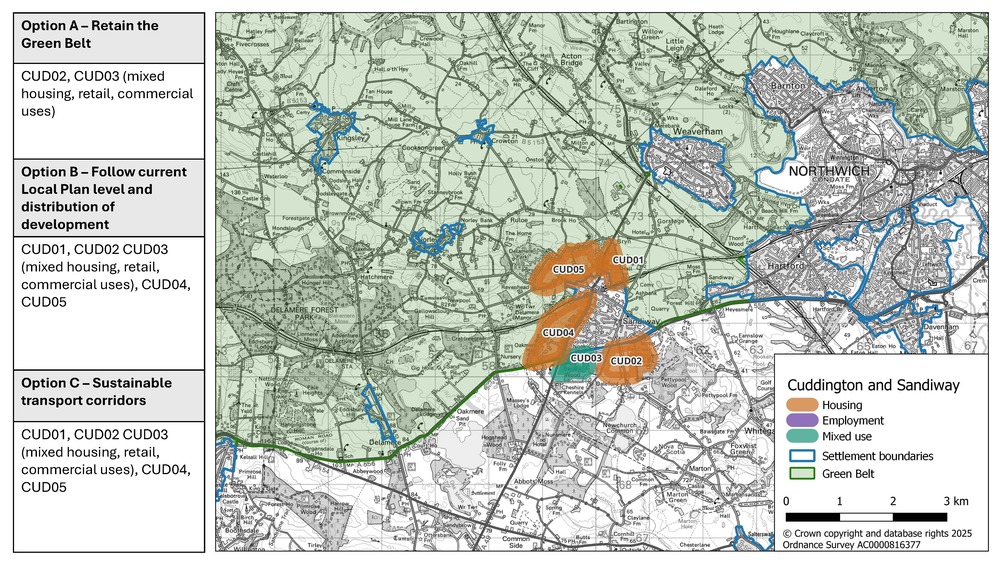 Cuddington Spatial Strategy